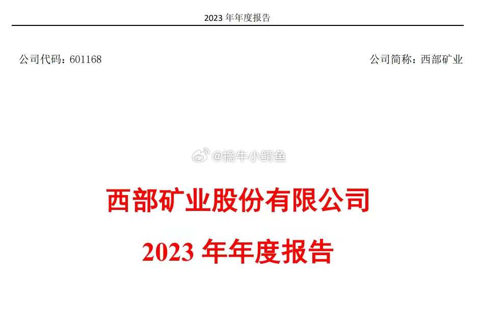 西部矿业最新公告揭秘未来发展蓝图及重大战略决策