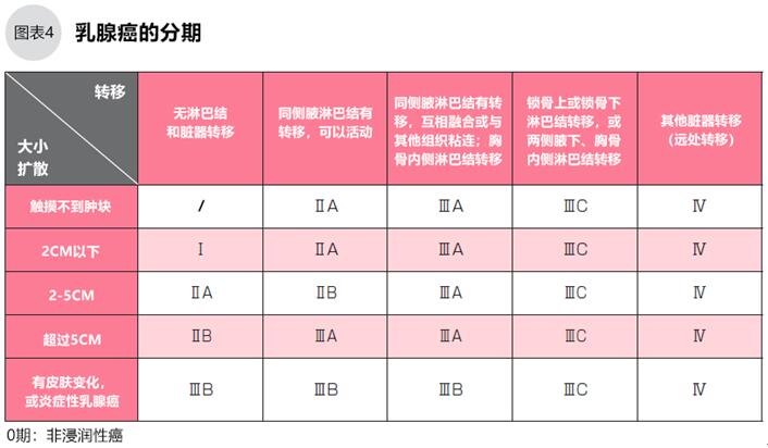 最新乳腺分型研究探索乳腺癌诊疗新领域